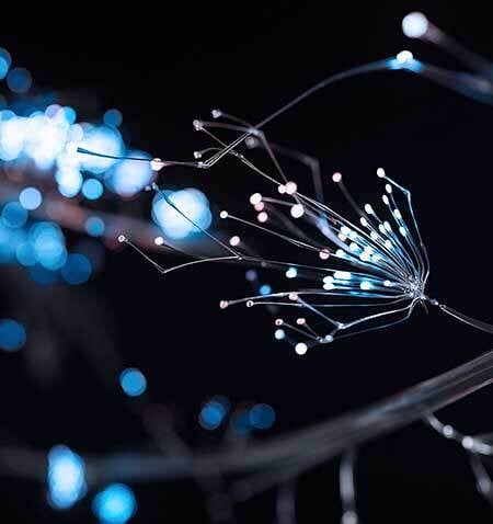 gi-kl-2153805978-450x478