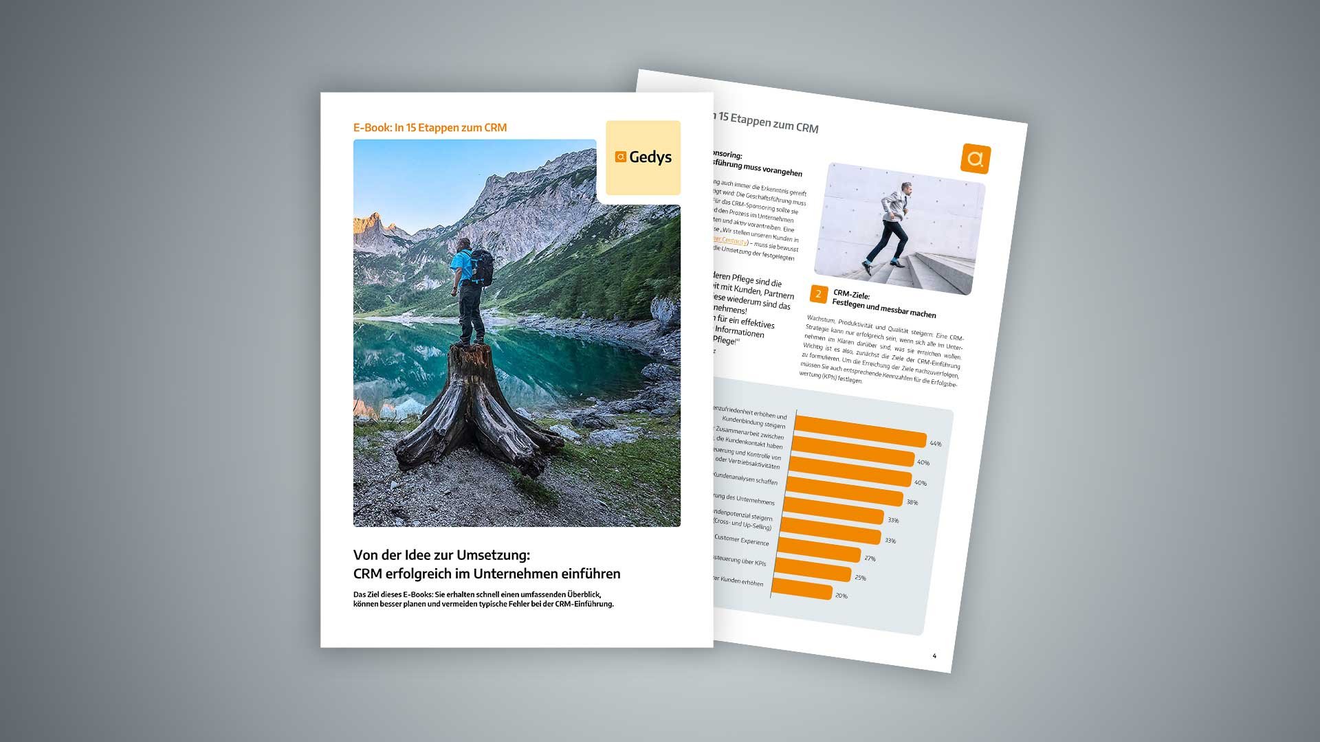 E-Book: CRM-Einführung: In 15 Etappen zum CRM