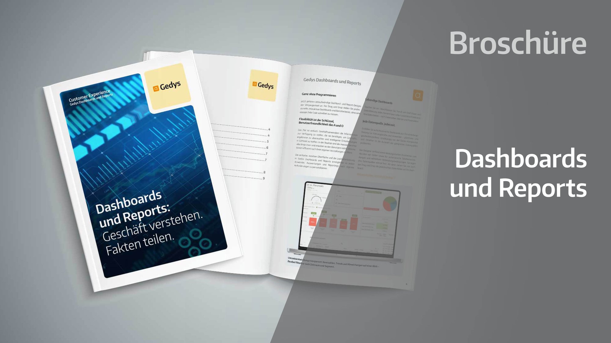 Broschüre: Gedys Dashboards und Reports