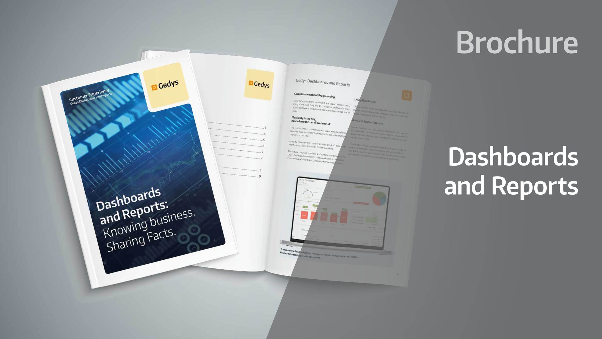 Brochure: Gedys Dashboards and Reports