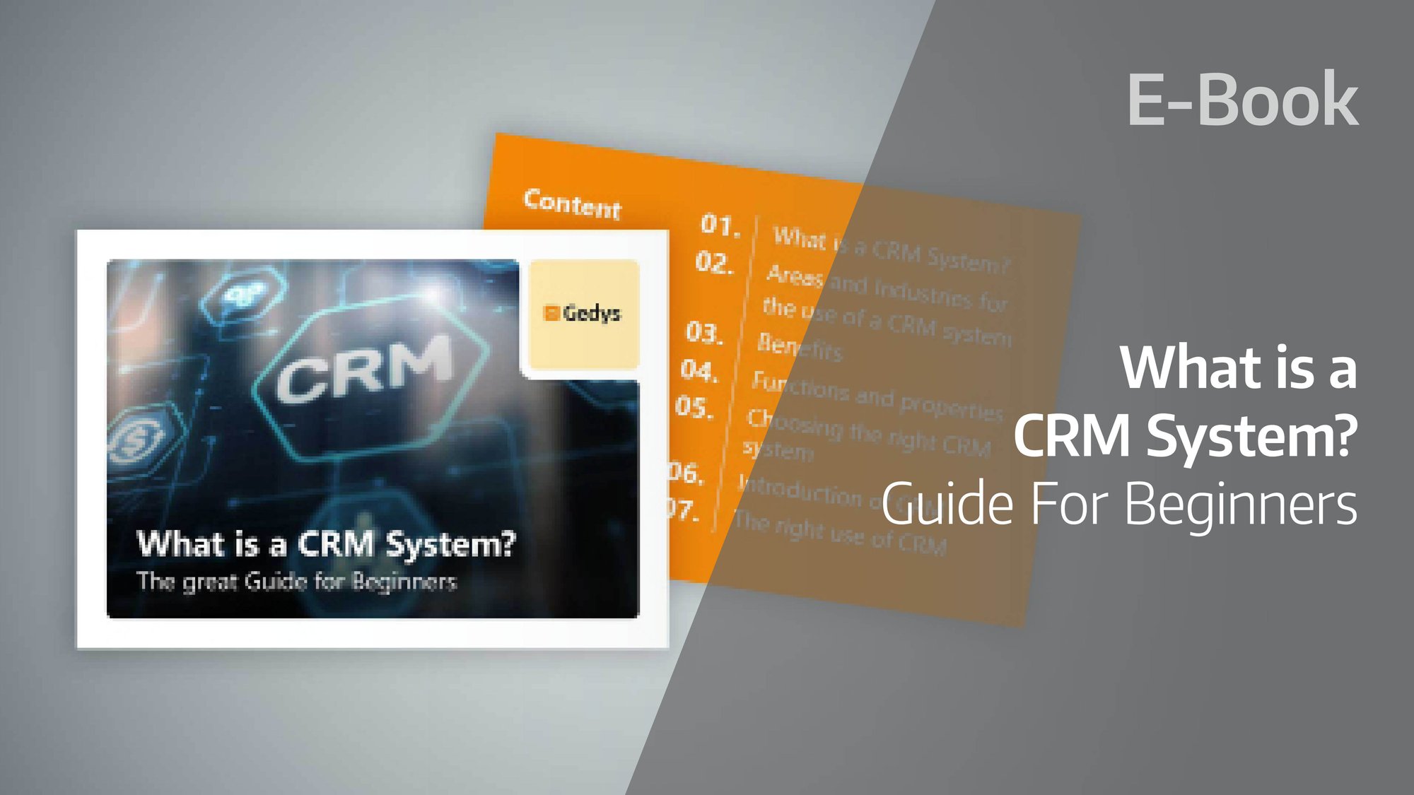 E-book: CRM Beginner’s Guide