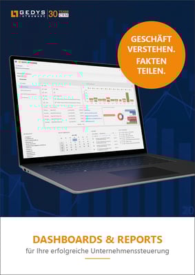 Titelseite_Broschuere-Dashboards-Reports_Rand