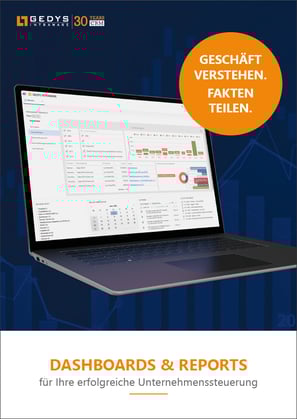 Titelseite_Broschuere-Dashboards-Reports_Rand