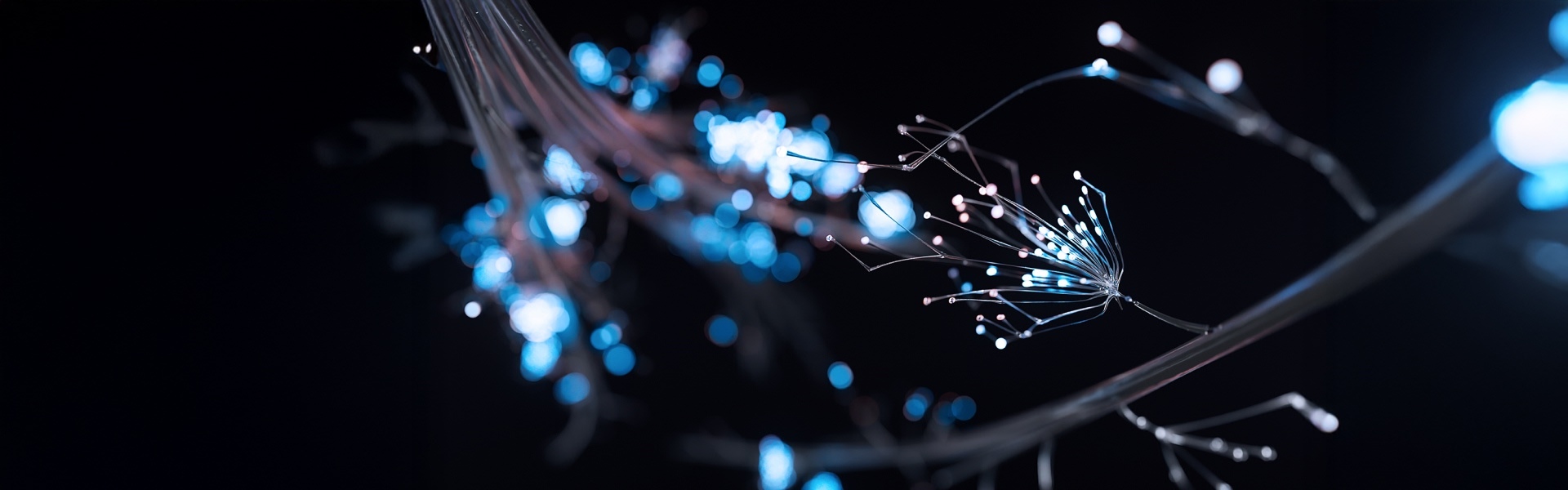 Interfaces and Integrations