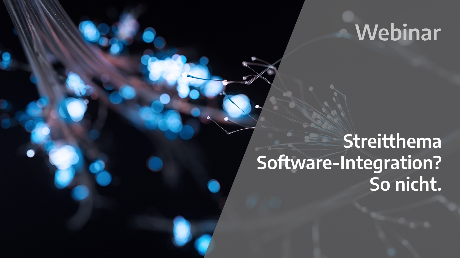 gi-kl-2153805978-GD-WB-Streitthema-Software-Integration-1920x1080