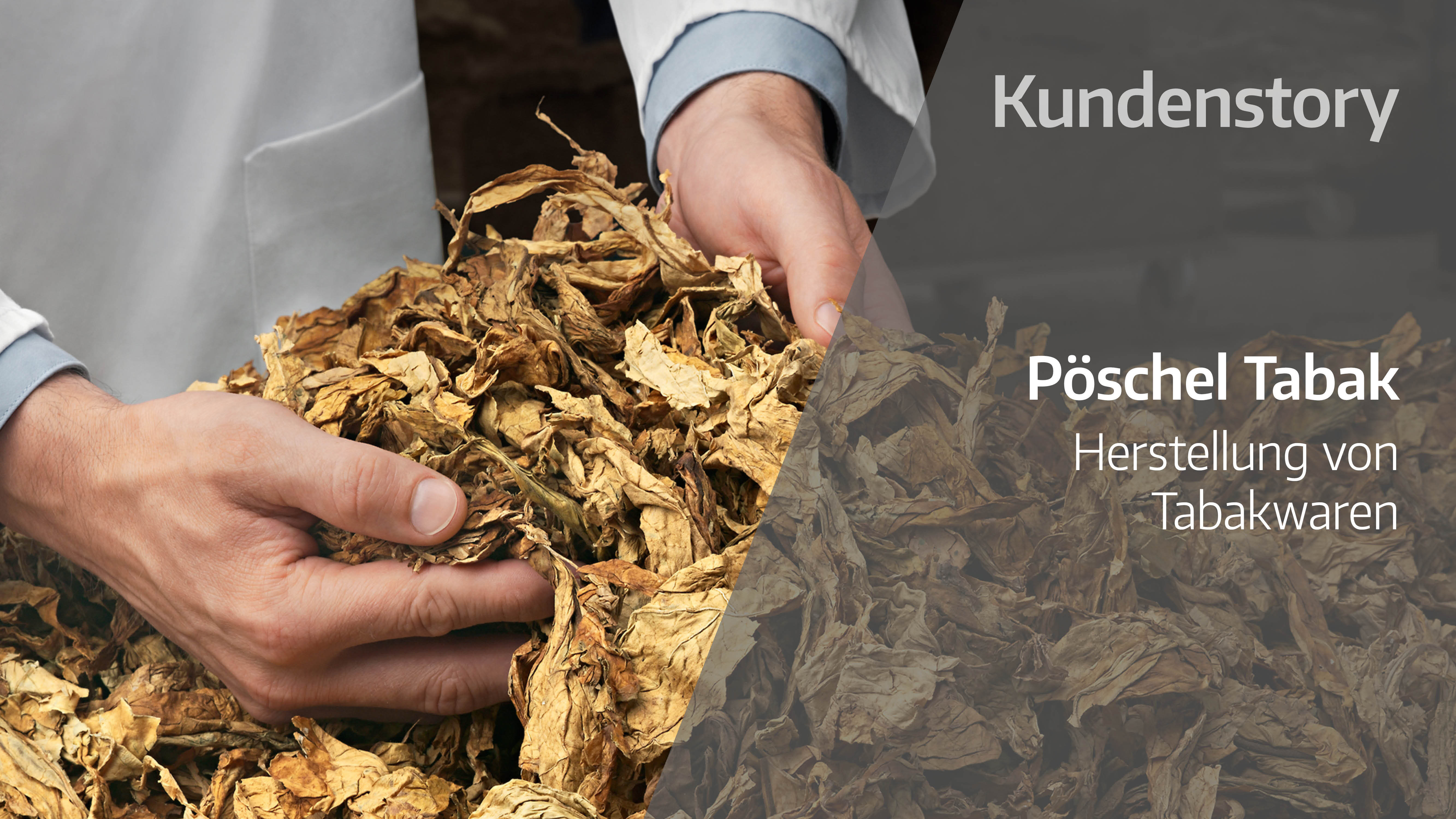 Thumb-Referenz-Gustavo-Gusto6