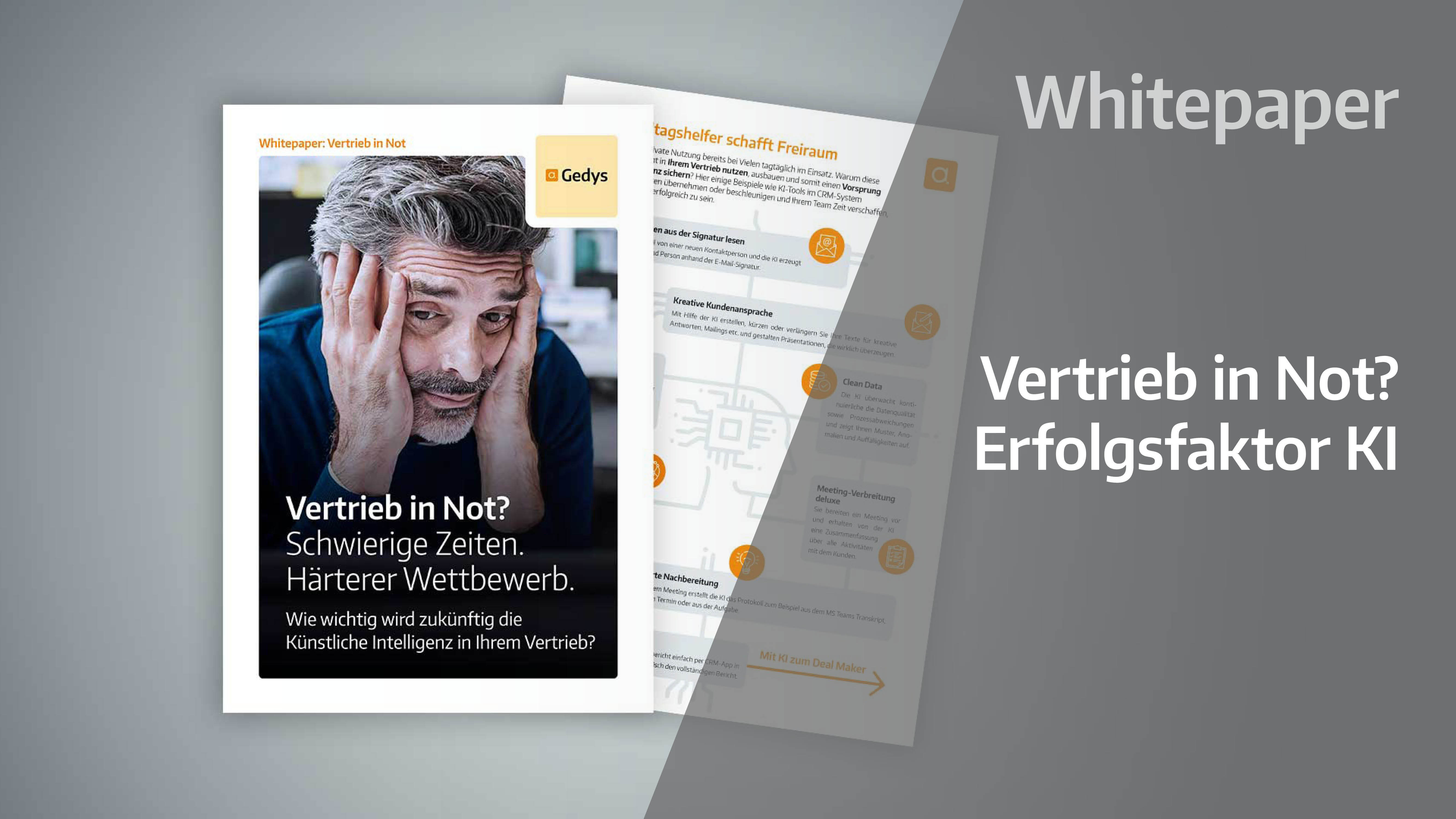 Thumbnail-mit-Titel-Whitepaper-Vertrieb-in-Not